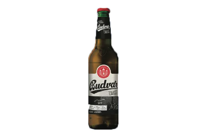 Dark Beer Şişe