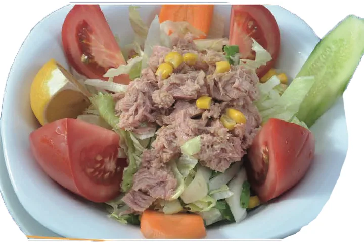 Ton Balıklı Salata